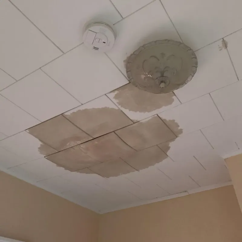 Ceiling Water Damage Repair in Andrews, NC
