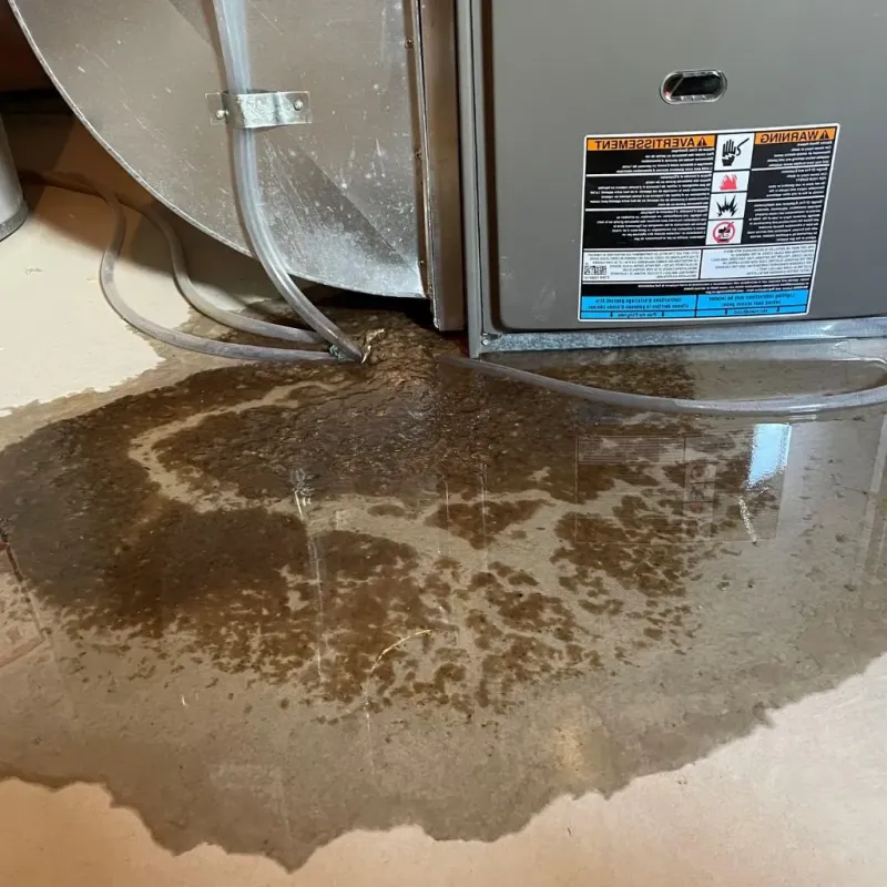 Pipe Burst and Leak Restoration in Andrews, NC