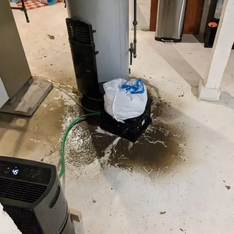 Sewage Backup Cleanup Service in Andrews, NC